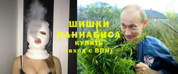 прущий лед Вязьма